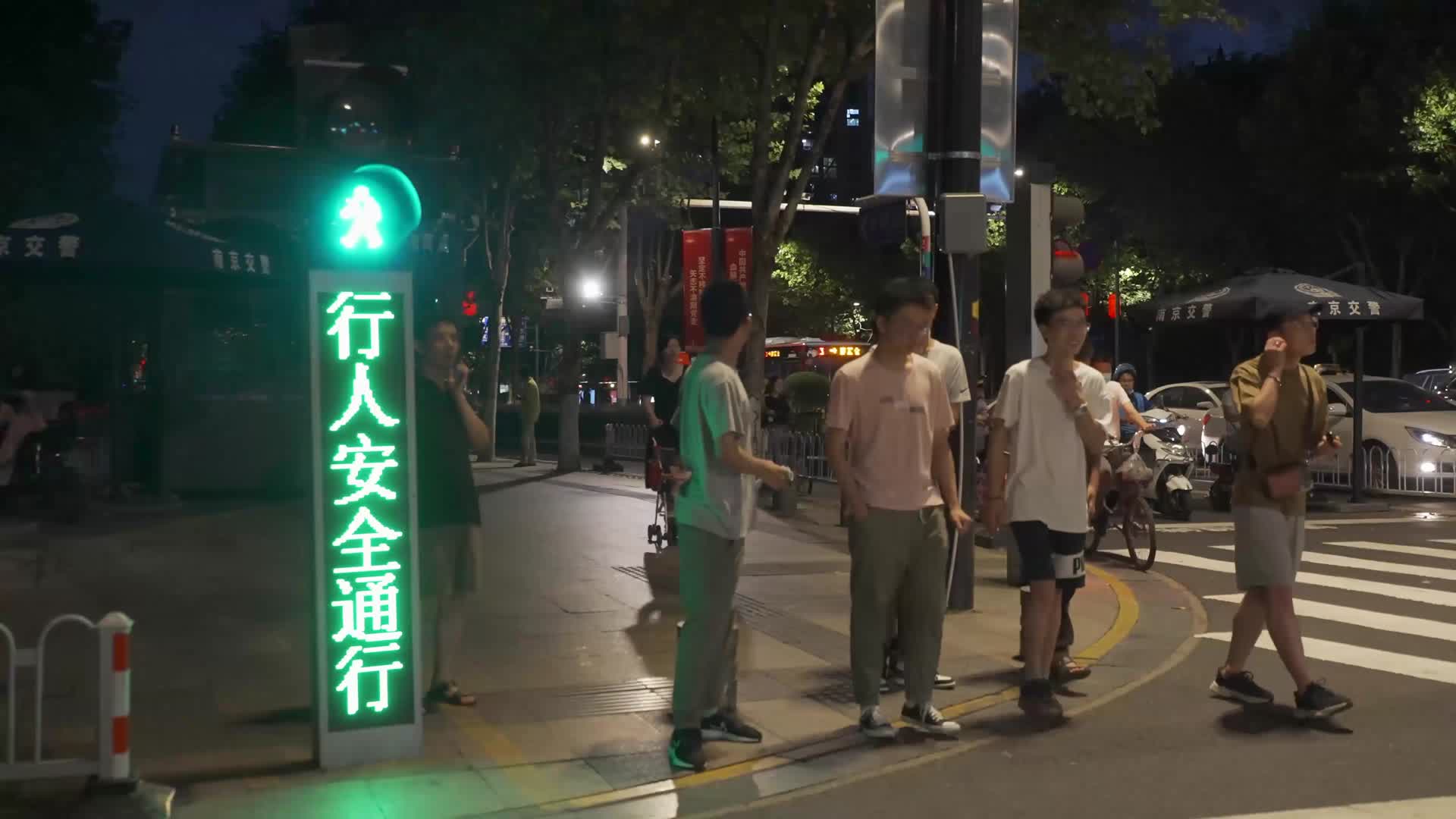 城市夜晚行人过斑马线视频的预览图