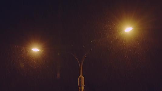 两盏路灯下的雨水视频的预览图