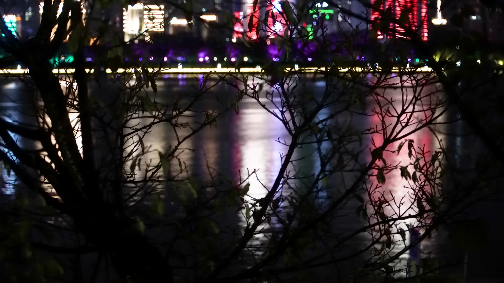 夜晚城市江水和水边的树木视频的预览图