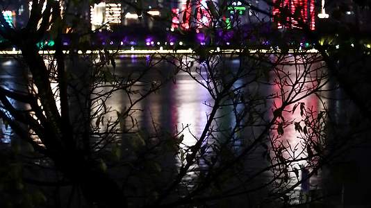 夜晚城市江水和水边的树木视频的预览图
