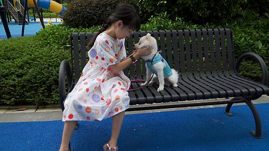 和白色博美犬一起玩耍的小女孩视频的预览图