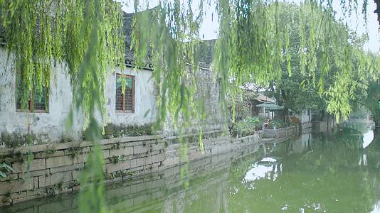 4K江南园林古镇风景杨柳小桥视频的预览图