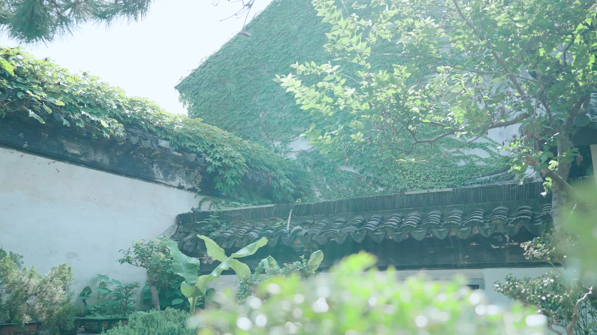 4K江南园林古镇风景屋檐视频的预览图