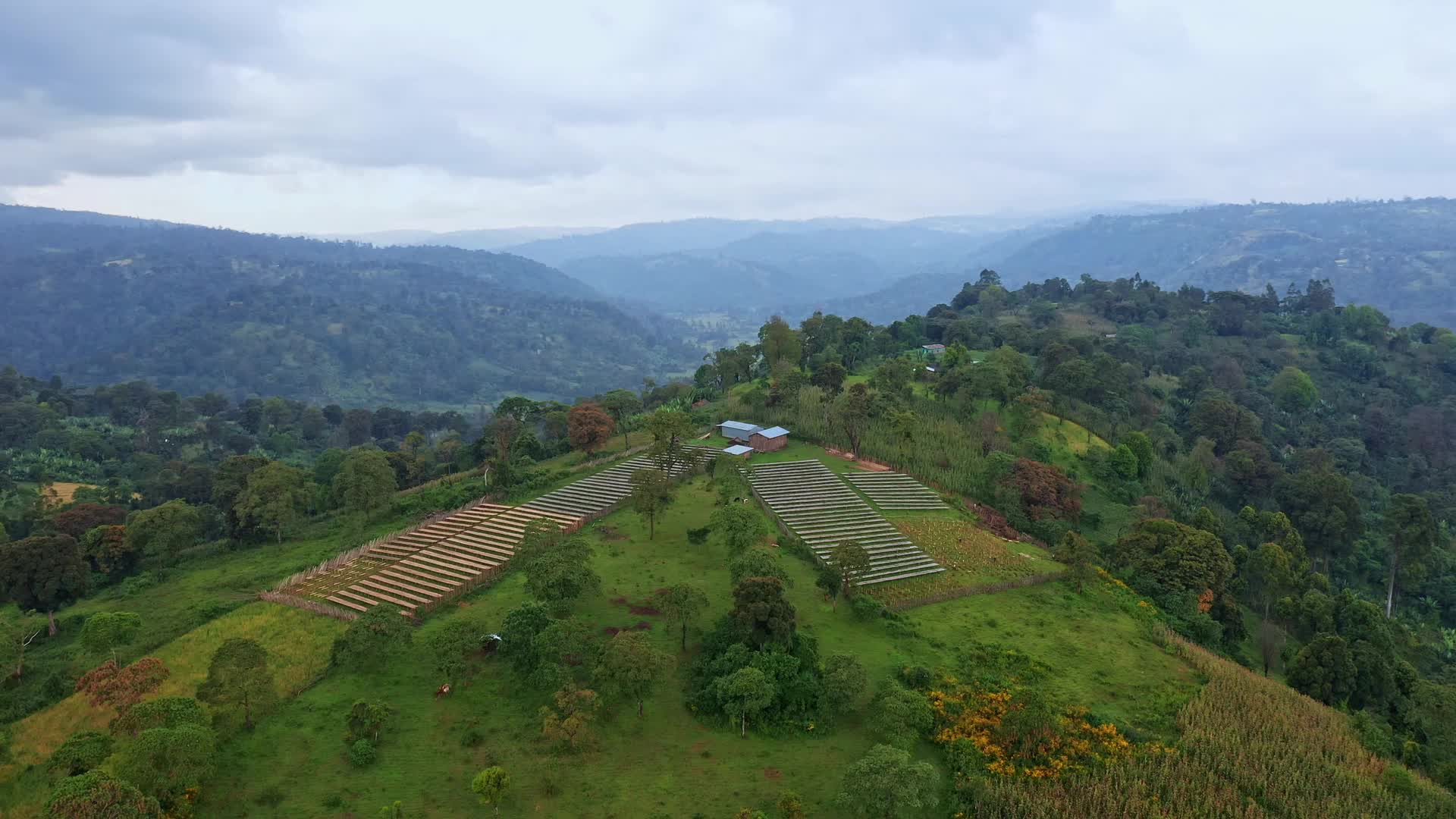 非洲埃塞俄比亚咖啡加工厂航拍视频视频的预览图
