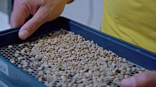 咖啡豆筛选工作视频的预览图