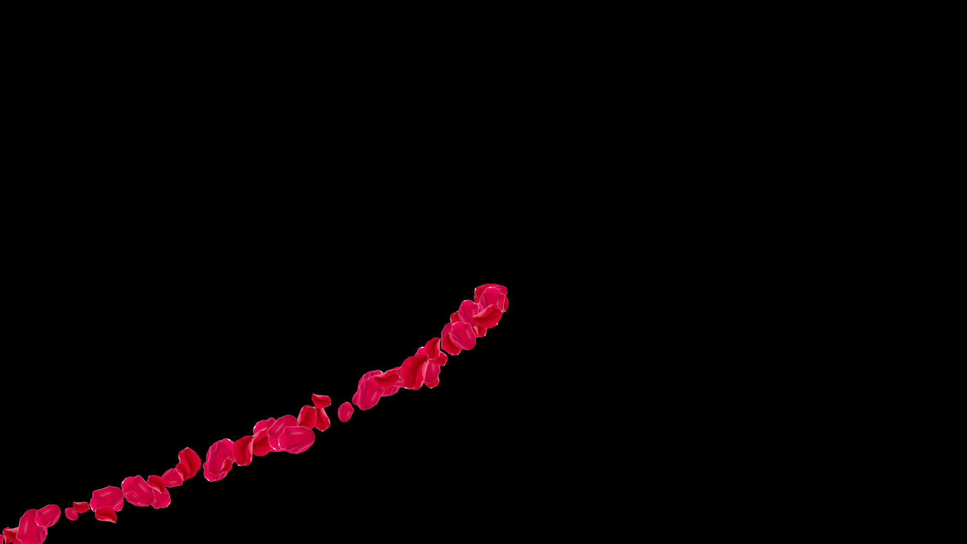 4K心心相印红色花瓣粒子通道视频视频的预览图