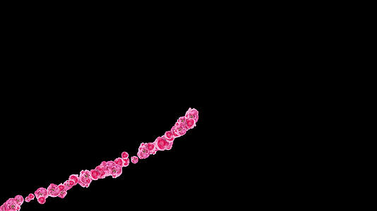 4K心心相印粉红花朵粒子通道视频视频的预览图