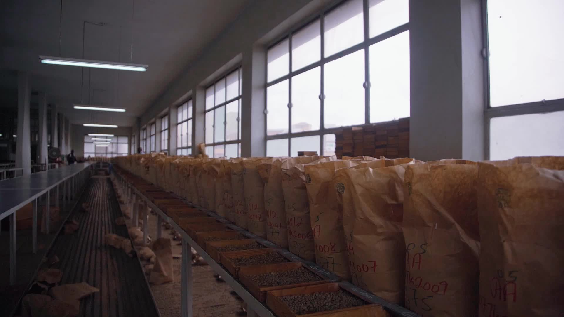 咖啡豆加工厂流水线视频视频的预览图