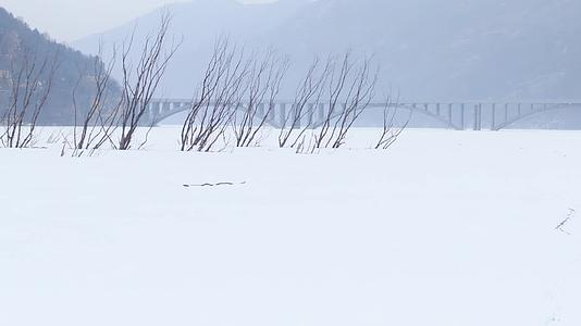 平原雪景航拍树枝视频的预览图