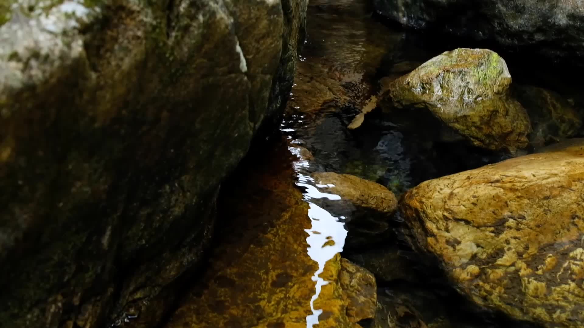 山间小溪视频的预览图