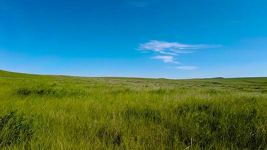 5k超高清拍摄内蒙古蓝天下的碧绿草原视频的预览图