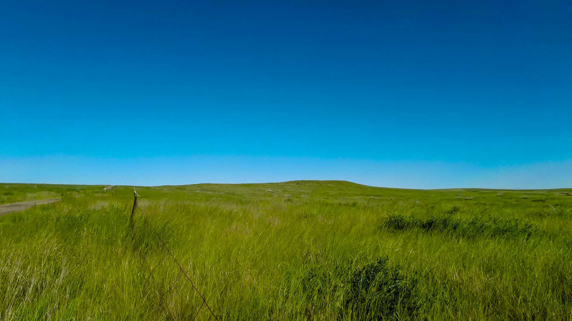 内蒙古碧绿的草原和草原上的蒙古包午后4k实拍视频视频的预览图