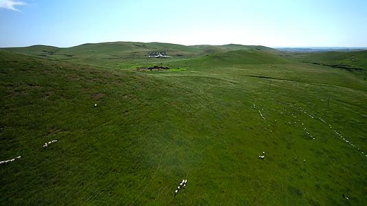 5k高清实拍内蒙古的蓝天草原视频的预览图
