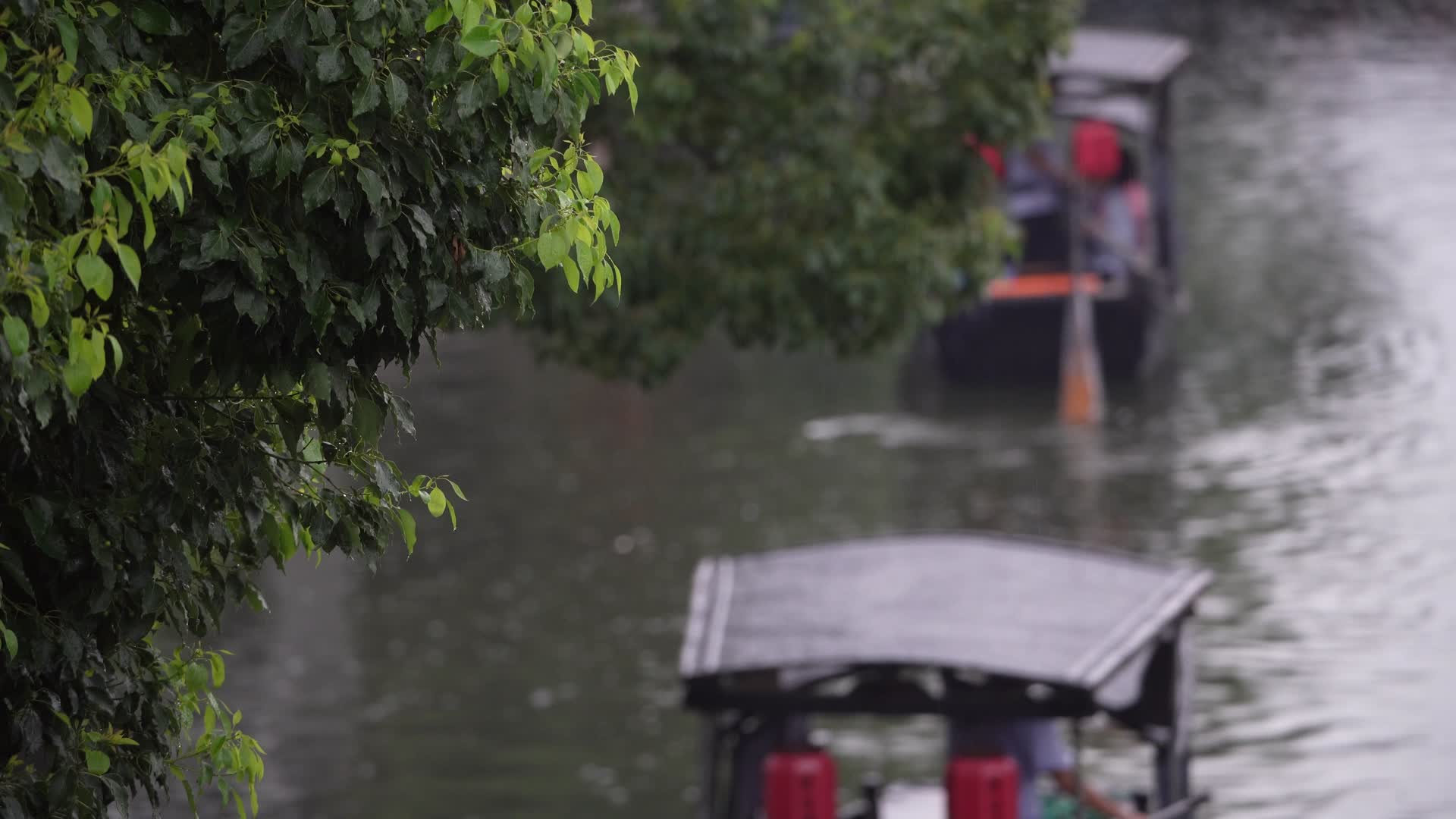西塘古镇乌篷船视频的预览图