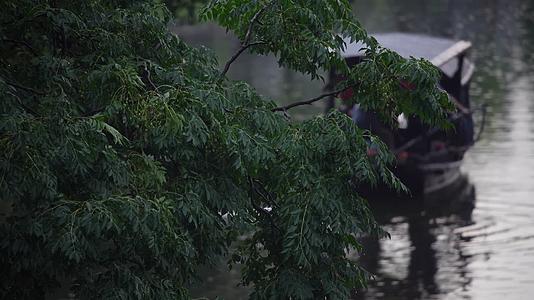 浙江西塘古镇雨后乌篷船实拍视频的预览图