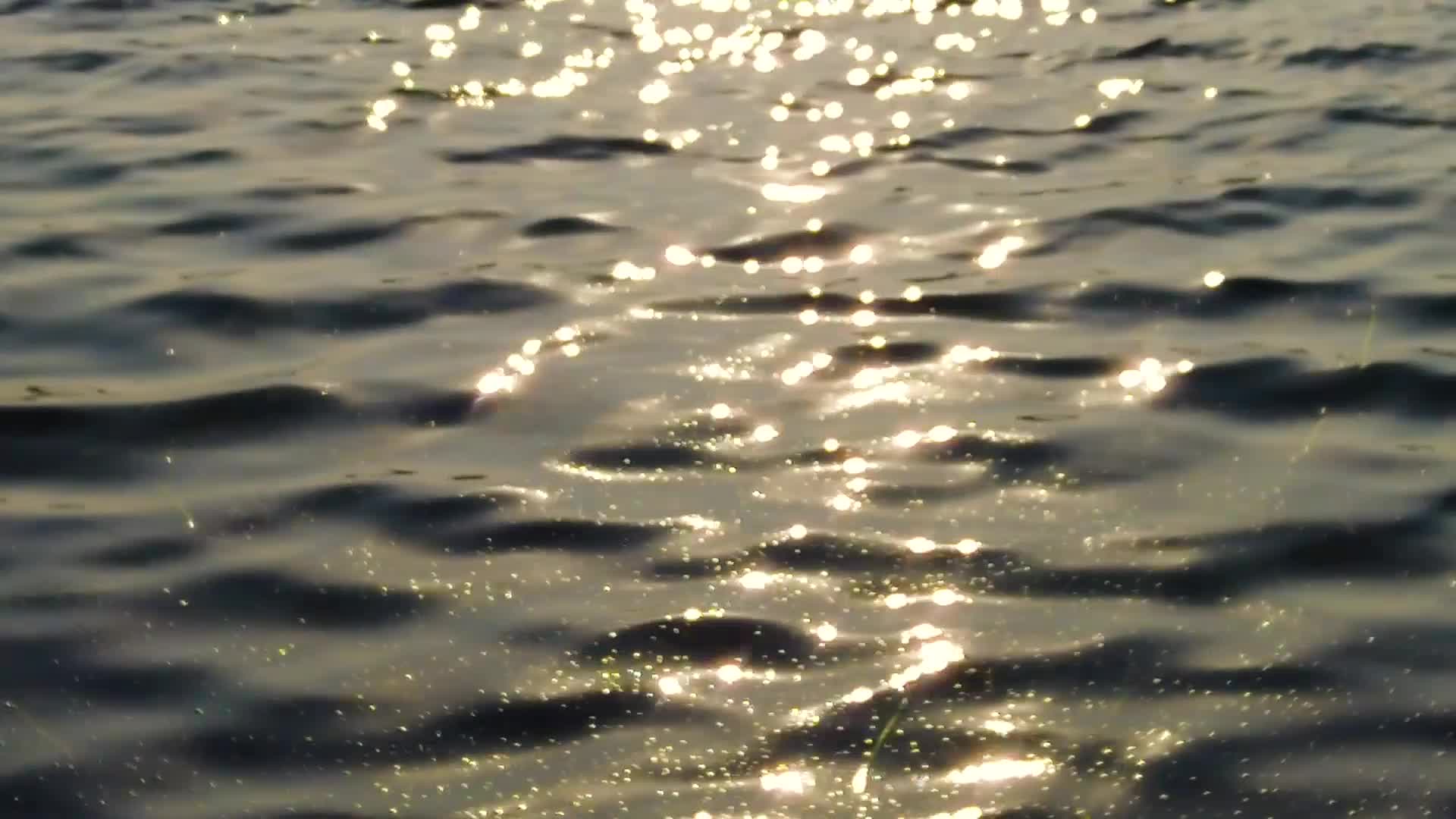 波光粼粼的湖面空境视频的预览图