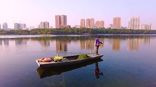广西南宁南湖公园捞水草的环卫工人视频的预览图