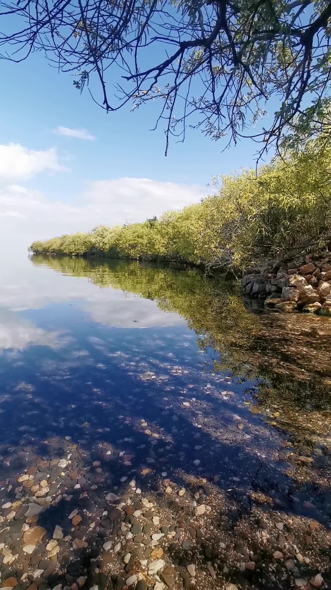 美如仙境的蓝色湖泊实拍视频视频的预览图