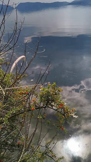 美如仙境的蓝色湖泊倒影美景视频的预览图