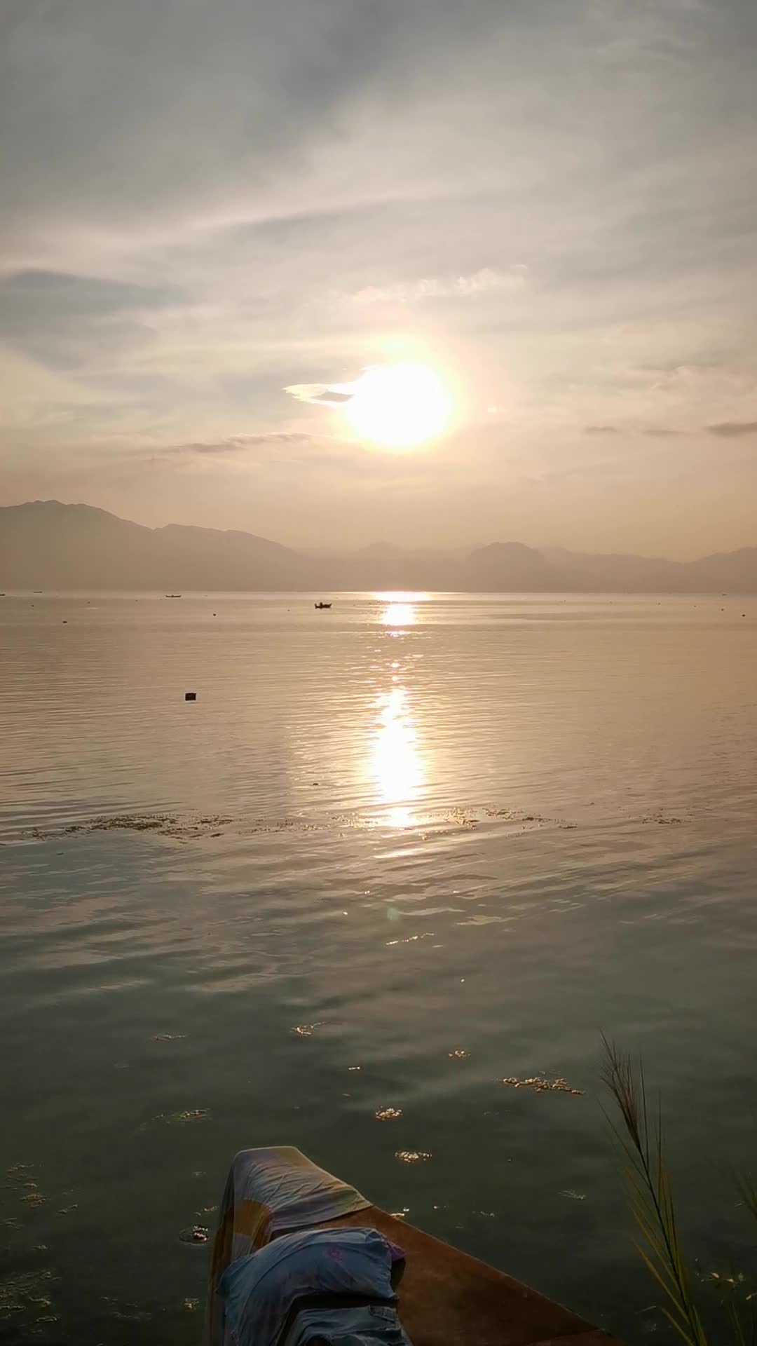 湖泊黄昏美景静怡安详养心竖镜头画面视频的预览图