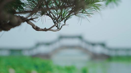 4K锦溪古镇古莲长堤桥旅游视频的预览图