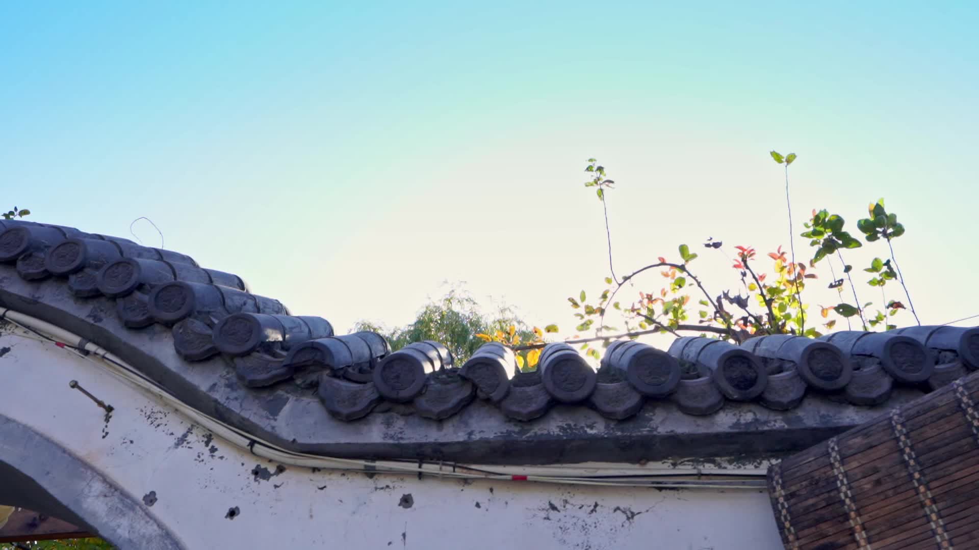 苏州园林翘脚屋檐枯藤蔓延视频的预览图
