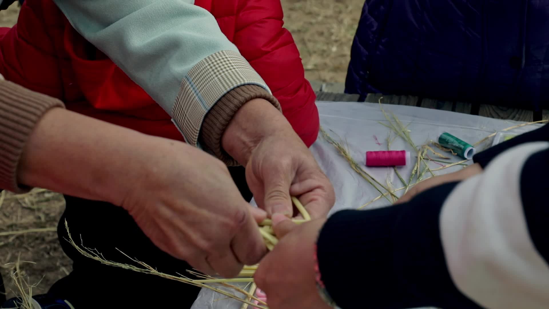 收割小麦麦穗秋天丰收实拍视频视频的预览图