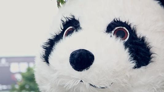 笨重可爱熊猫布偶兼职促销视频的预览图