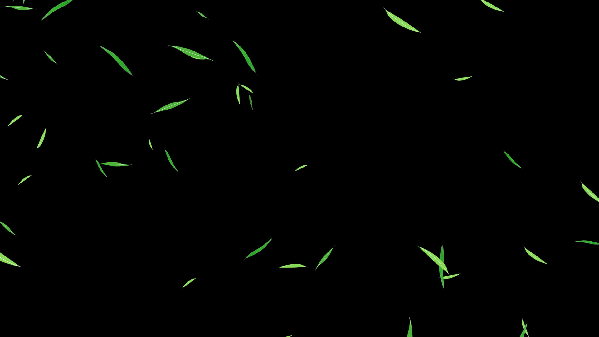 4K柳叶竹叶飘扬通道视频循环视频的预览图