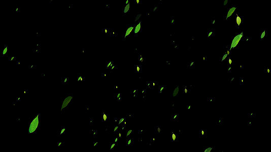 4K绿色叶子冲屏动画循环视频的预览图