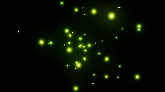 萤火虫粒子特效视频的预览图