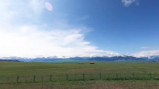 5月份的新疆喀拉峻大草原视频的预览图