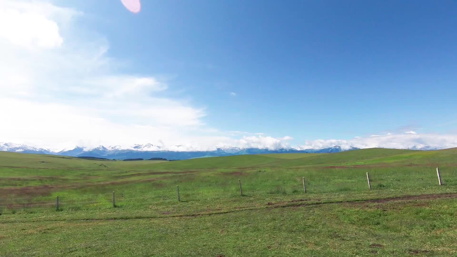 新疆喀拉峻大草原风景视频的预览图