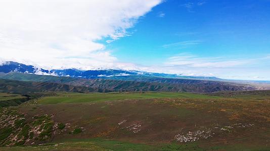 5月新疆喀拉峻大草原航拍视频的预览图