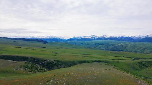 5月份的新疆喀拉峻大草原航拍视频的预览图