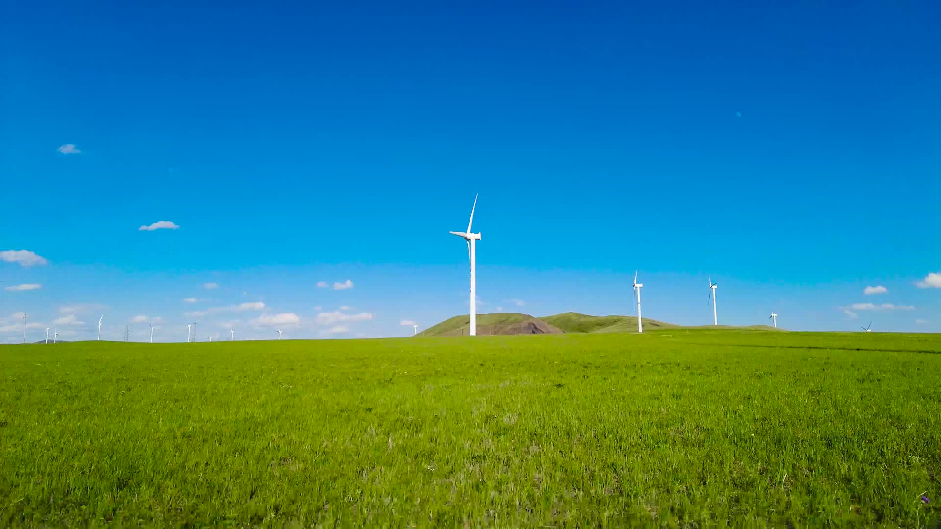 内蒙古大草原上成片的风力发电车午后4k拍摄视频视频的预览图