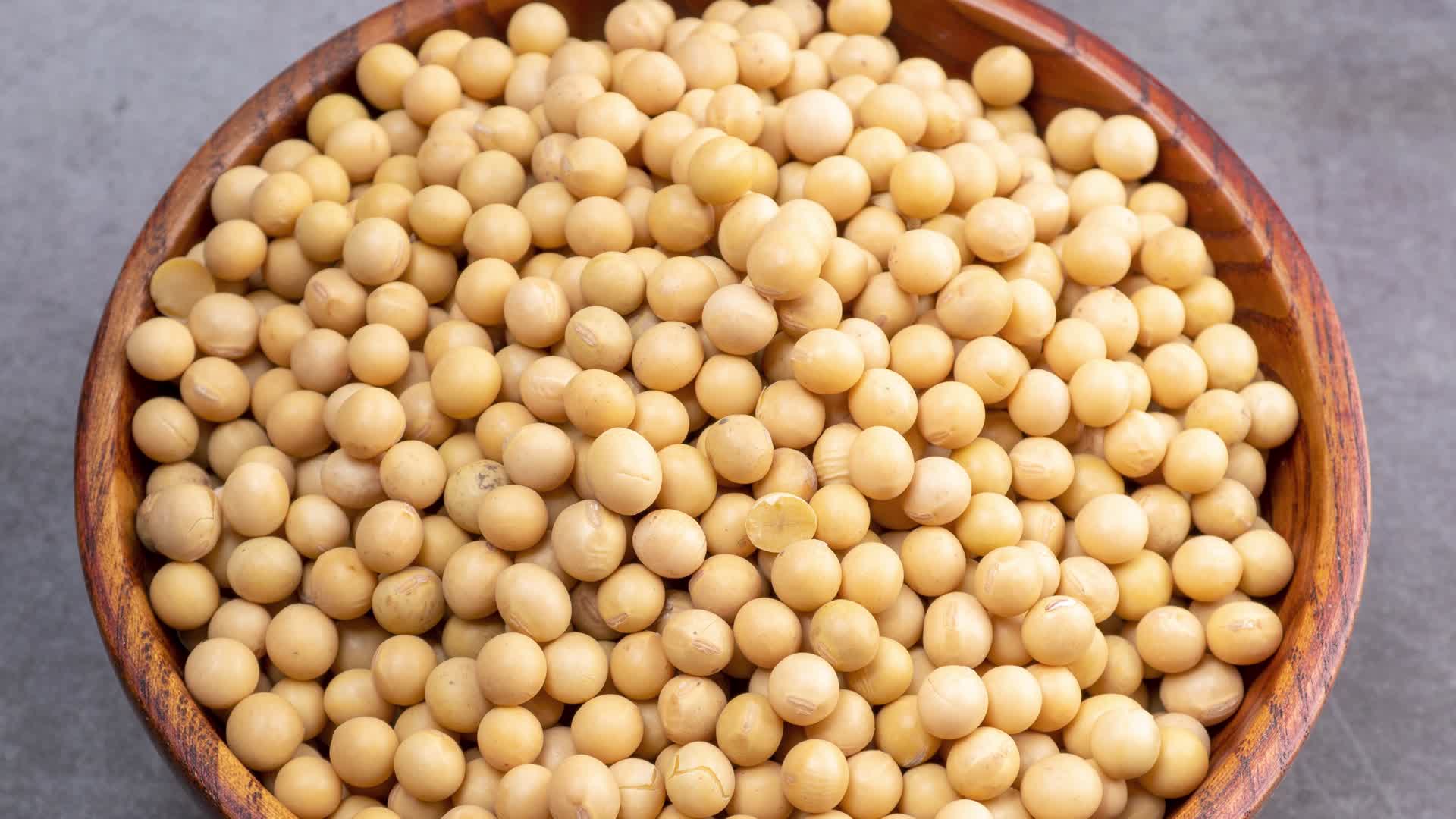新鲜黄豆有机食品4k实拍视频的预览图