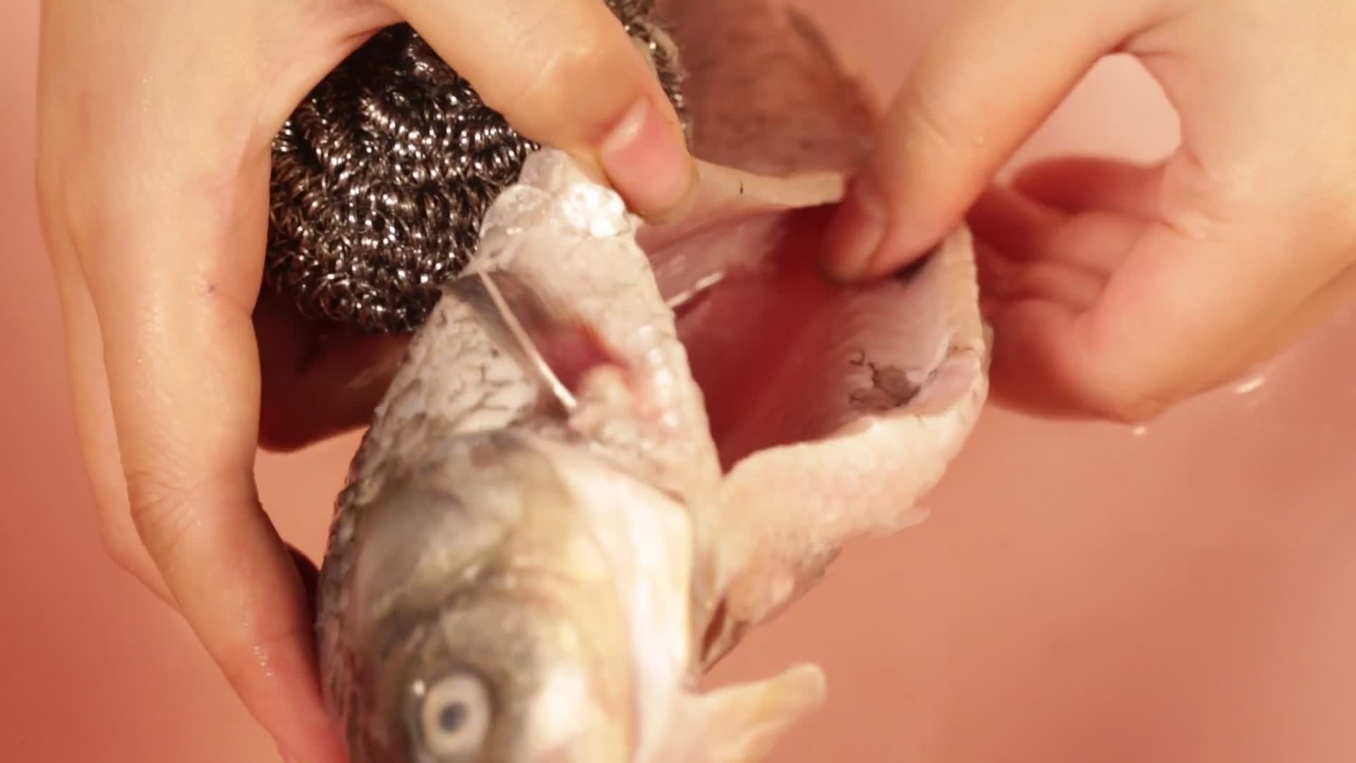钢丝球清洗鱼肚子里的黑膜视频的预览图