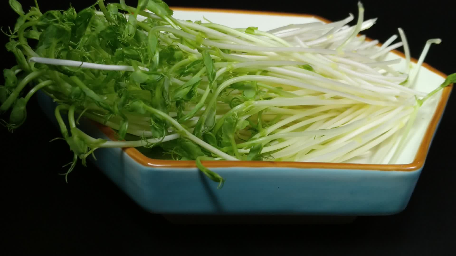 绿色生态豆芽有机蔬菜4K实拍视频视频的预览图