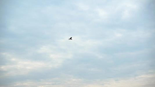天空飞翔的大雁1080实拍视频的预览图