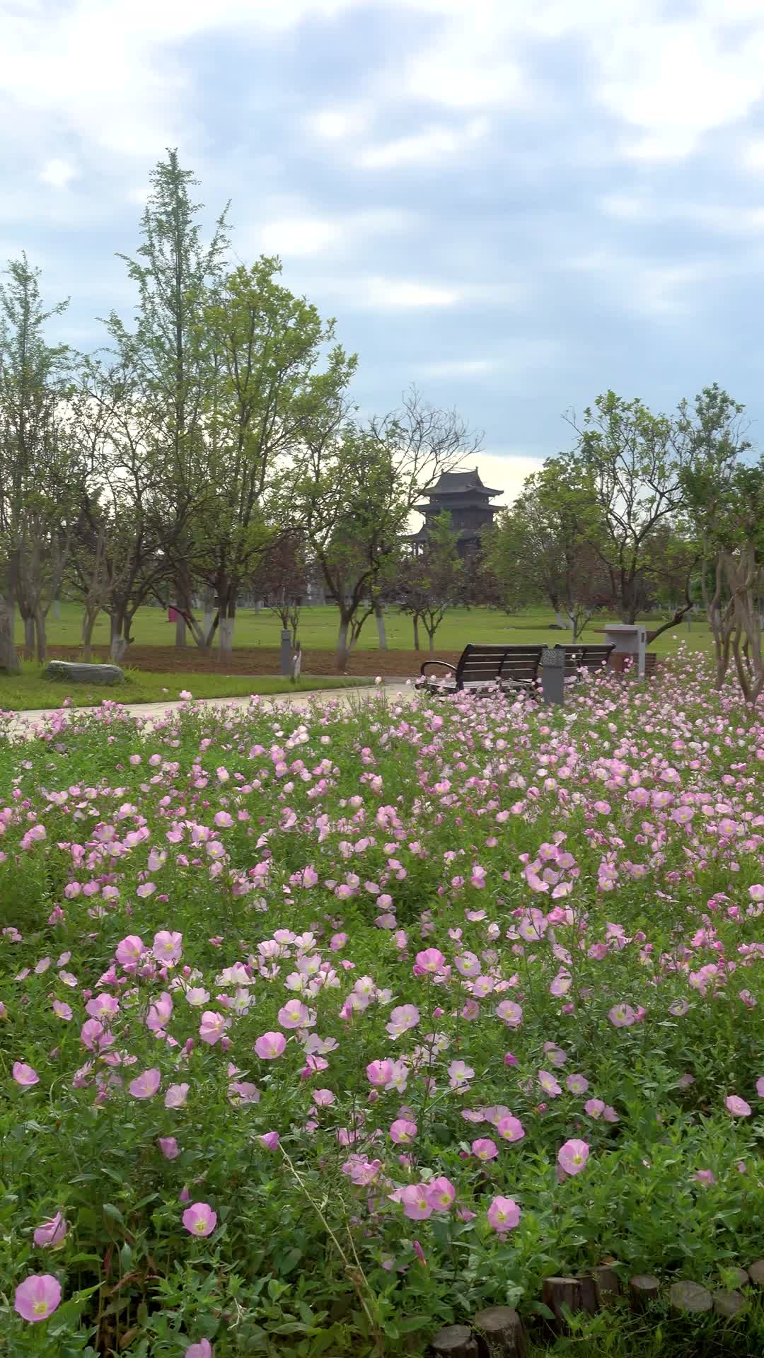 湖南衡阳东洲岛景区自然风光视频的预览图