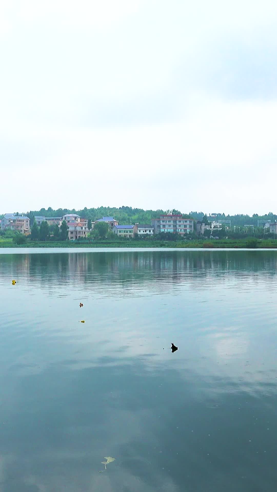 乡村湖边自然风光实拍视频的预览图