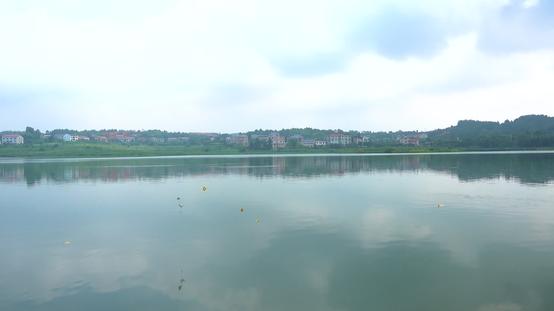 乡村湖边自然风光视频的预览图