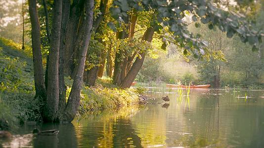 秋天原始森林溪流湖泊皮划艇探险的人视频的预览图