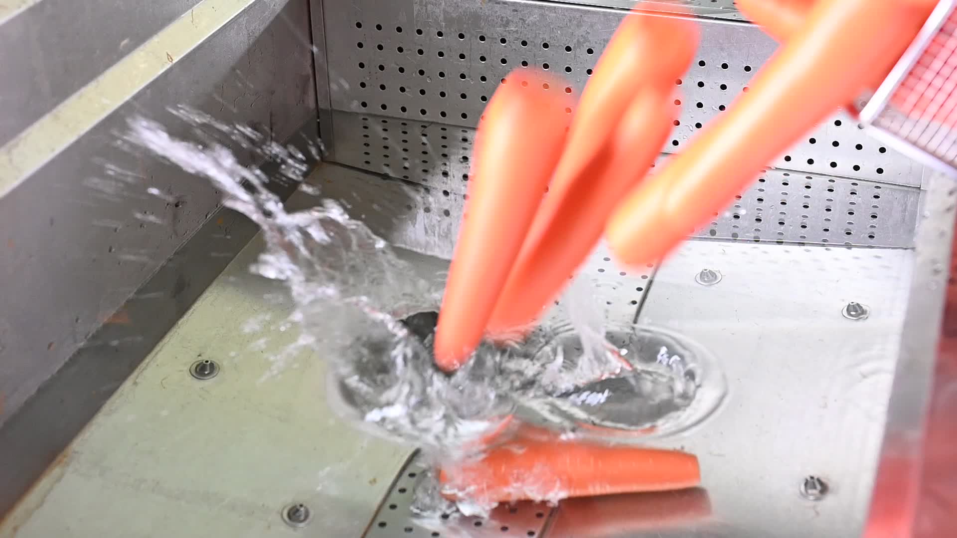 胡萝卜清洗蔬菜视频视频的预览图