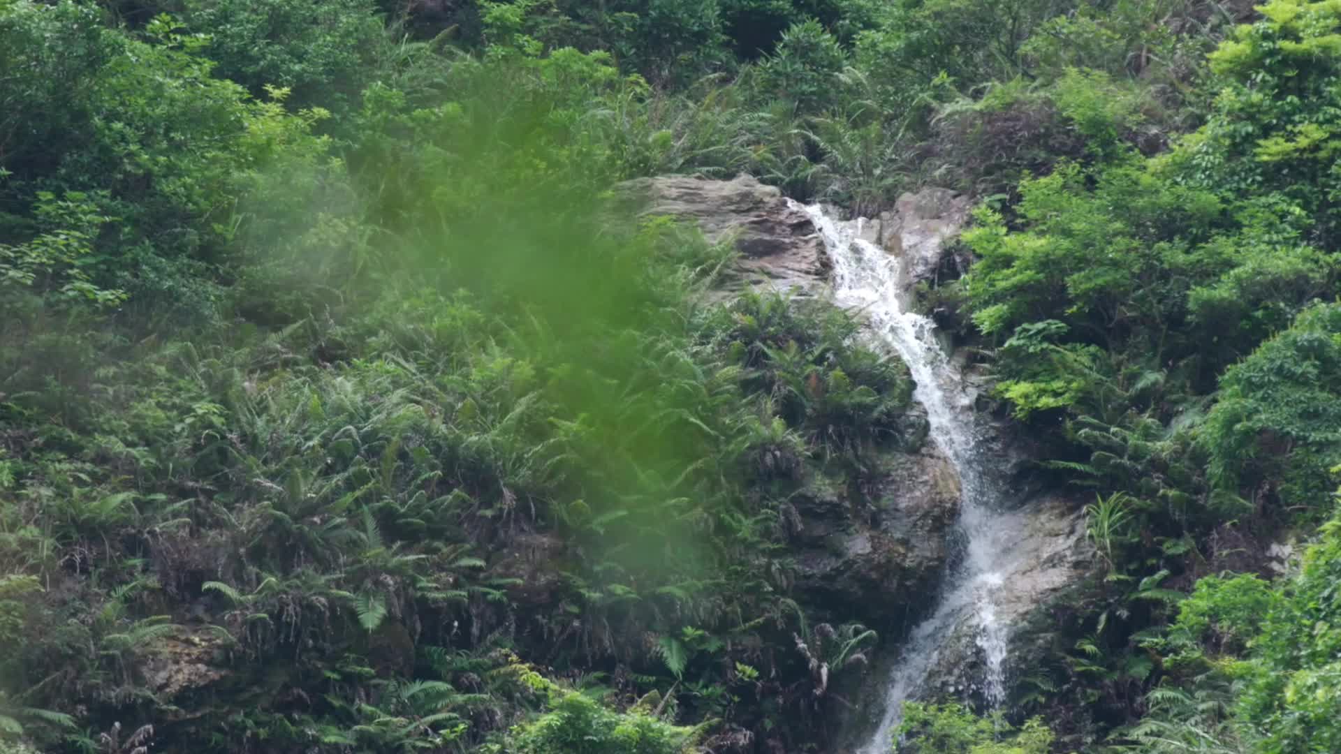 深圳梧桐山自然风景生态环境水源实拍视频视频的预览图