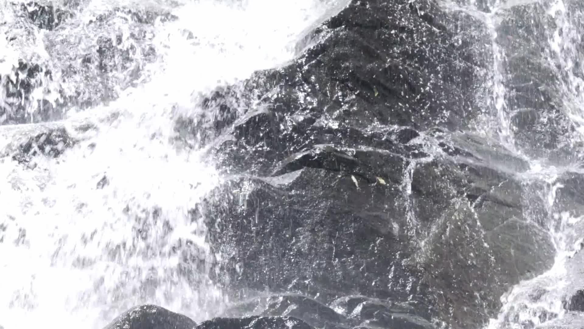 深圳梧桐山自然风景生态环境水源实拍视频视频的预览图