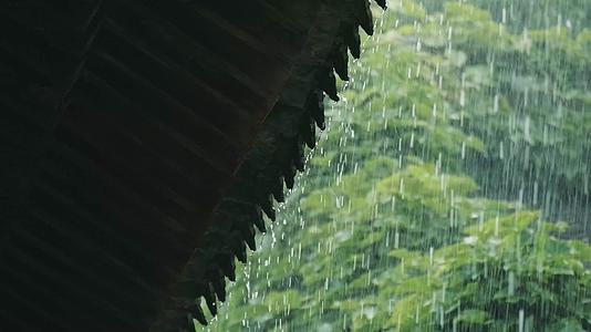 4k节气雨水视频合集下雨屋檐花花草草视频的预览图