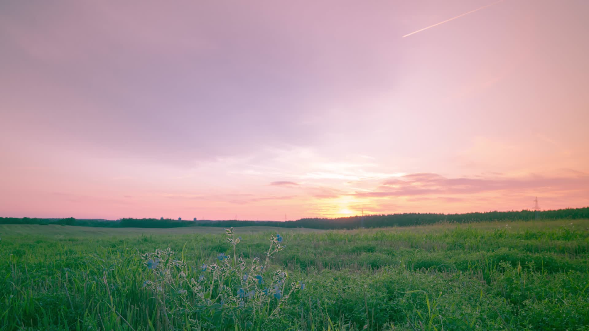 夕阳下宁静的草原田野延时唯美意境实拍视频的预览图