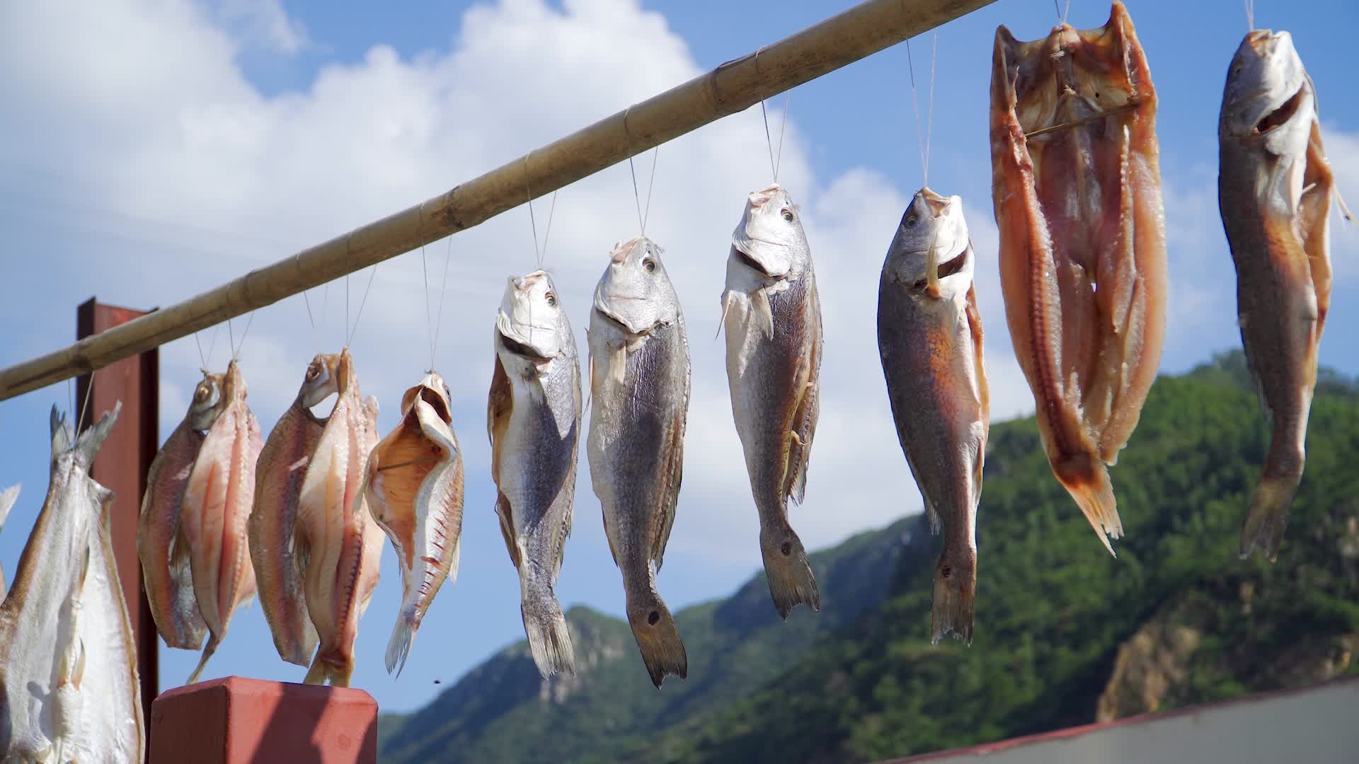 打渔人家在户外晒的咸鱼视频的预览图